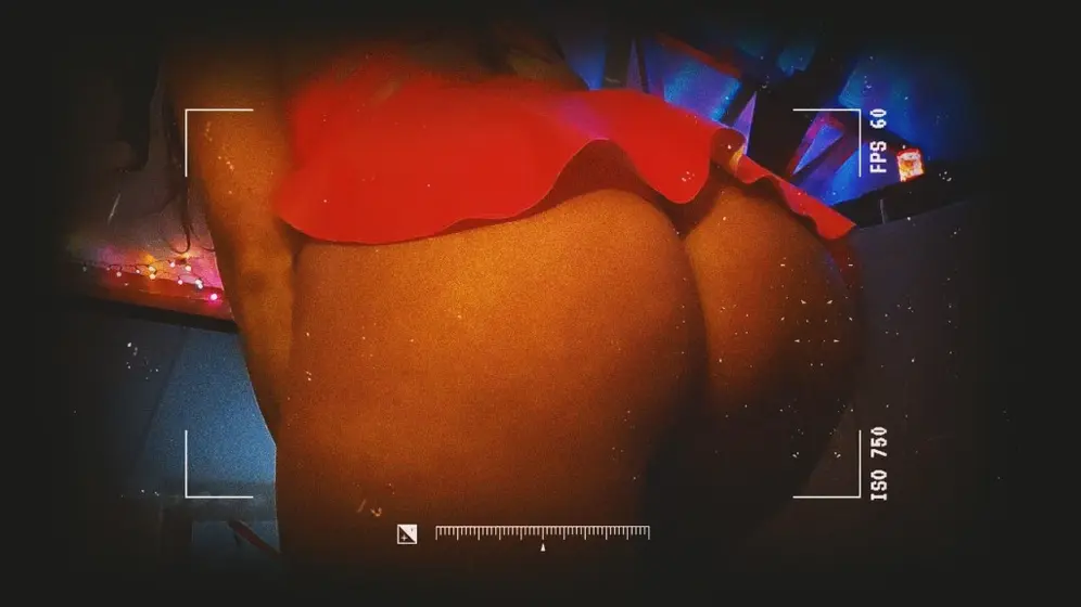 Stevienoize live webcam