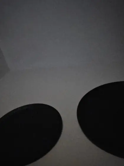 justcavalli live webcam