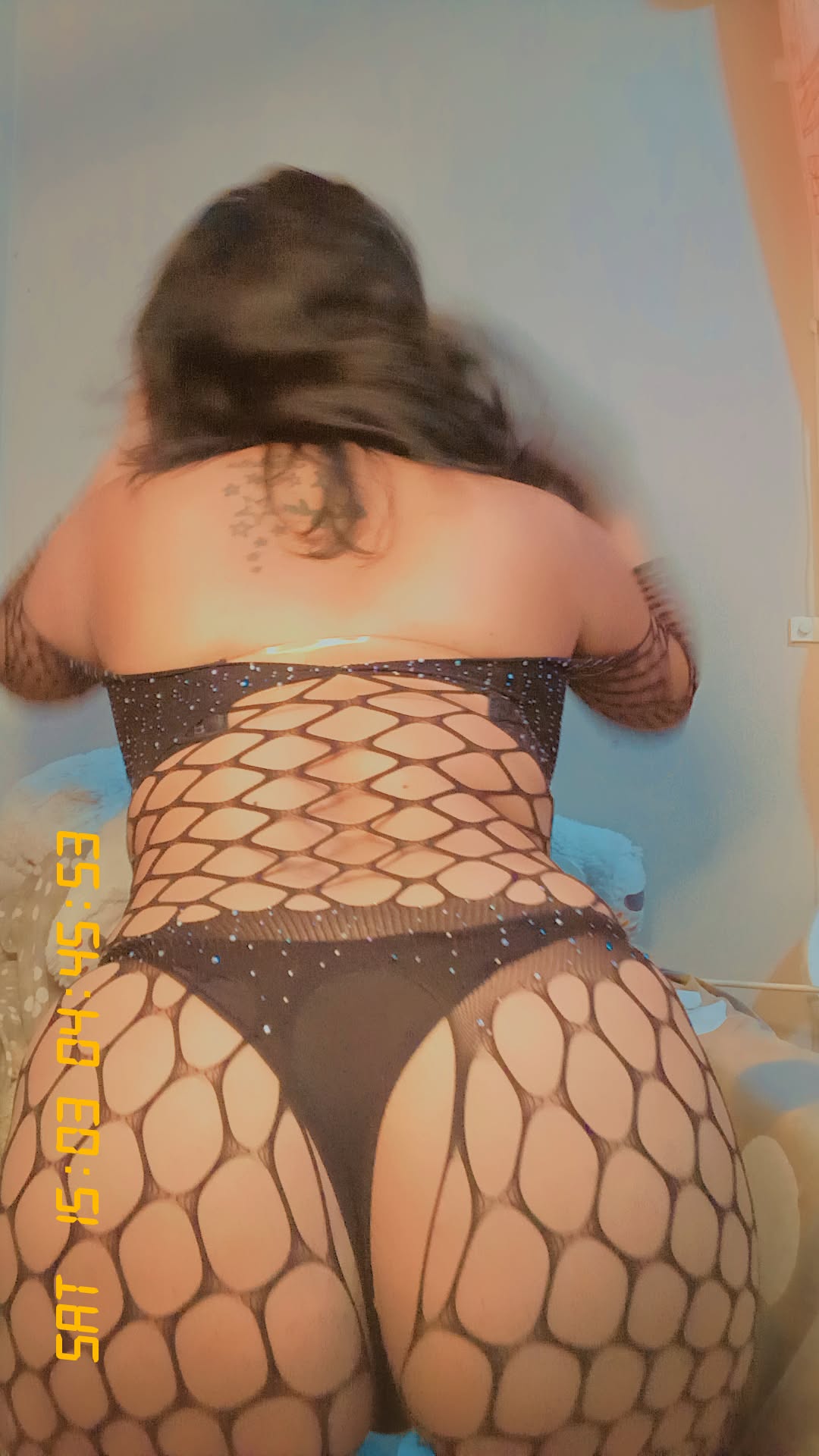 tarie live webcam